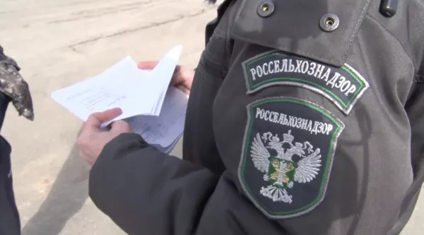Россельхознадзором в Белгородской области задержана рыбная и мясная продукция без документов