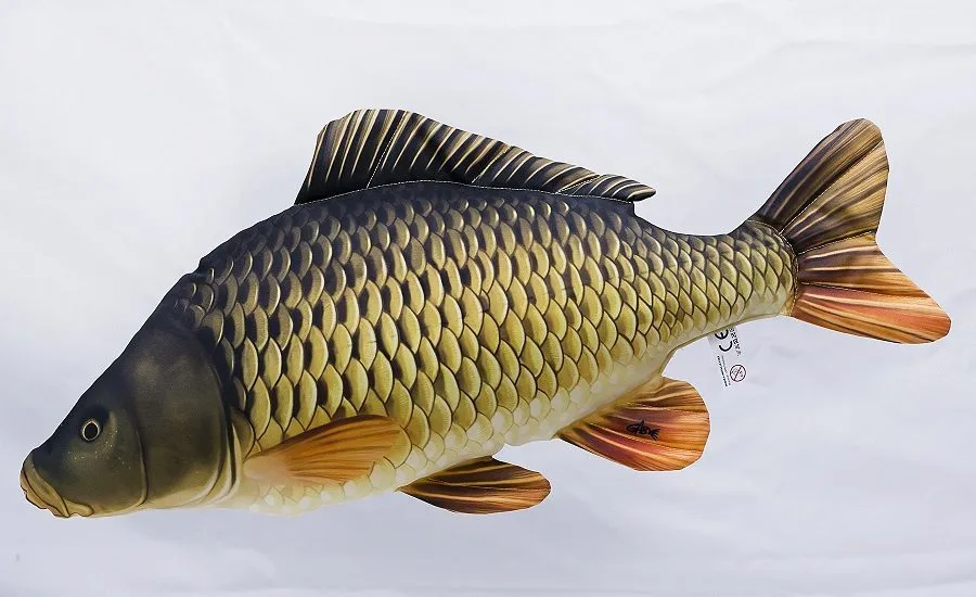 фотография продукта Продам живую рыбу