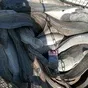 сом клариевый живой 10 тонн в Белгороде