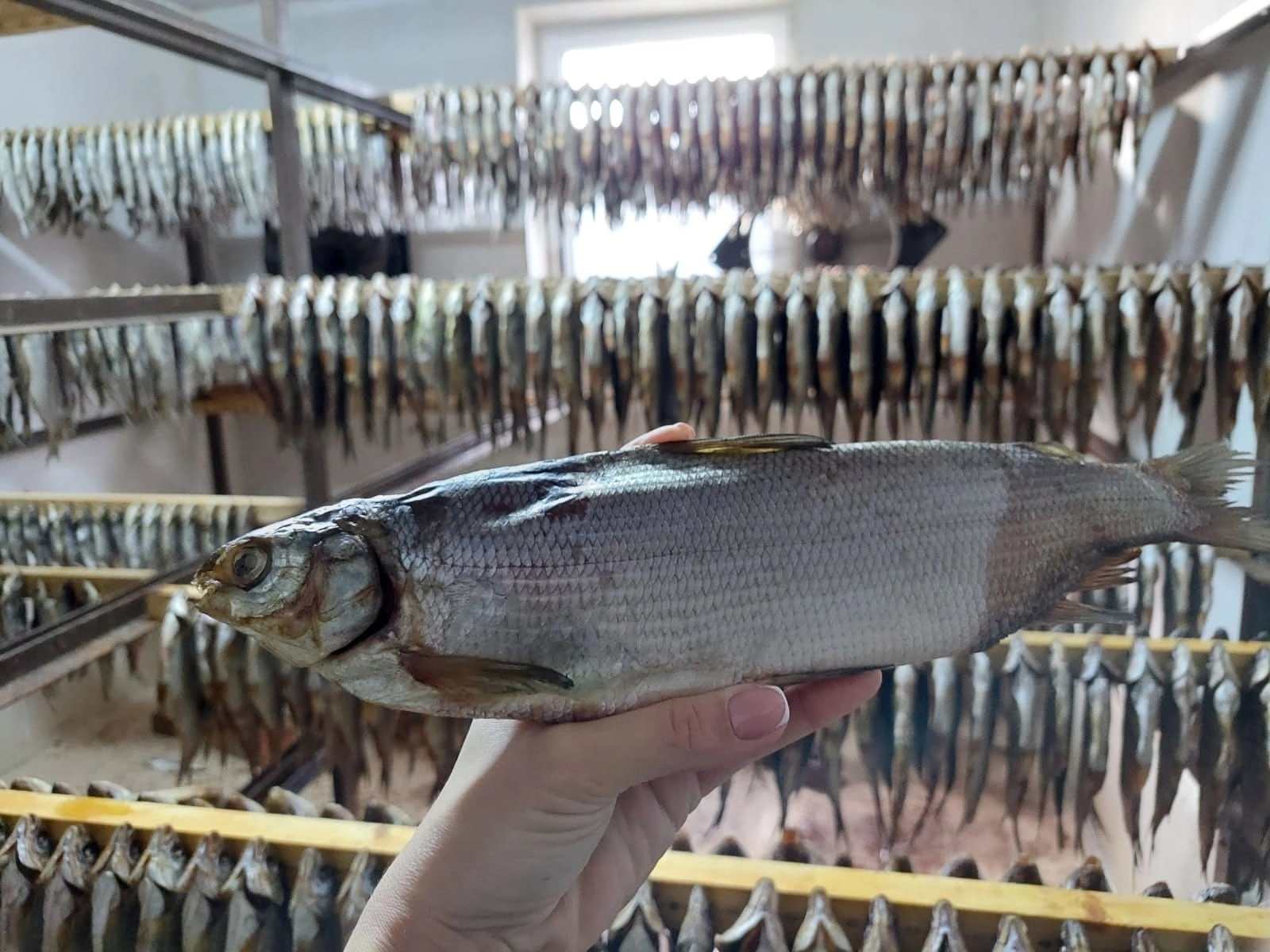 вкусная готовая рыбная продукция в Ростове-на-Дону 8