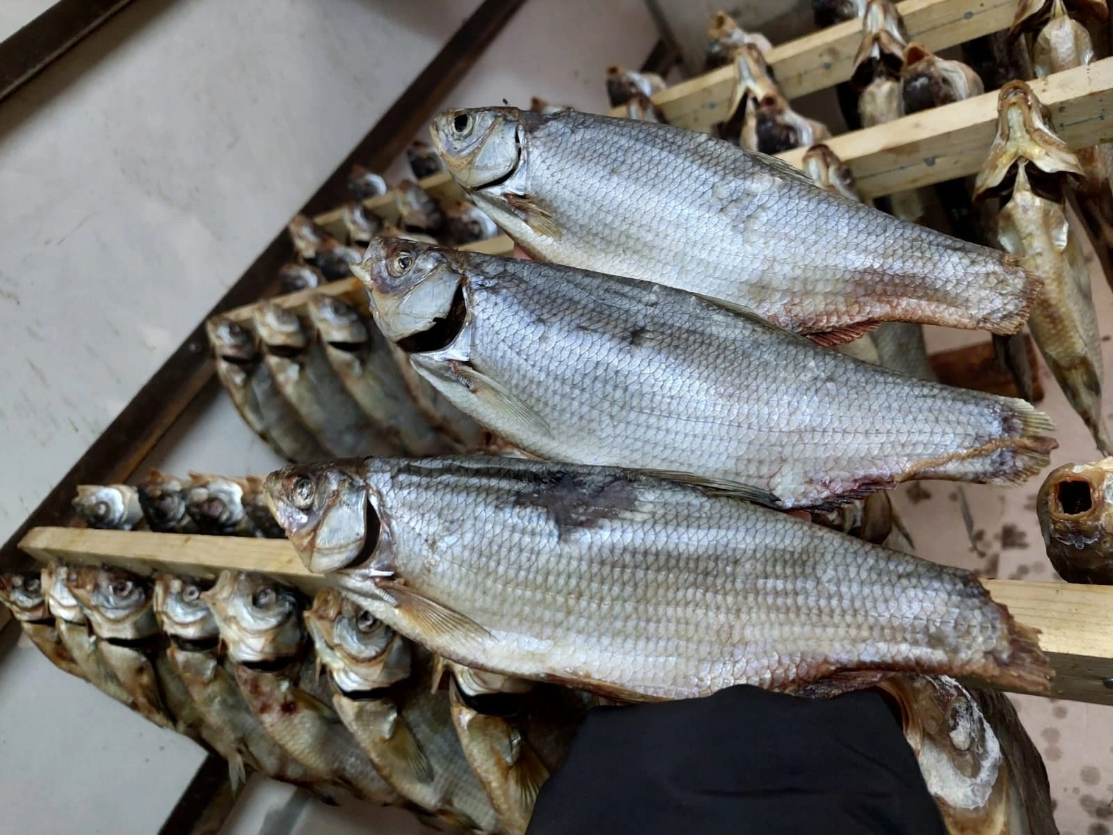 вкусная готовая рыбная продукция в Ростове-на-Дону 2