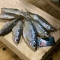 вкусная готовая рыбная продукция в Ростове-на-Дону 5