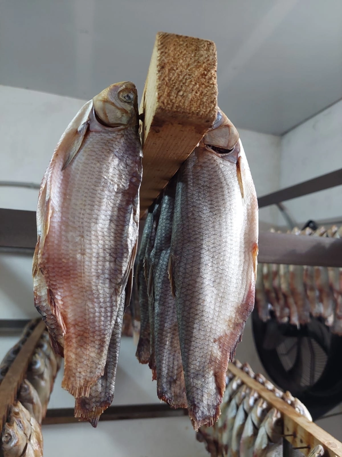 вкусная готовая рыбная продукция в Ростове-на-Дону 4