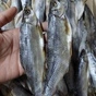 вкусная готовая рыбная продукция в Ростове-на-Дону